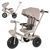 Велосипед триколісний TILLY FLASH T-3812 GREY T-3812 GREY фото