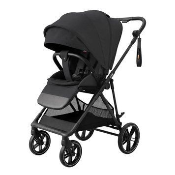 Прогулянкова коляска CARRELLO Extra CRL-6532 Forest Black CRL-6532 Forest Black фото